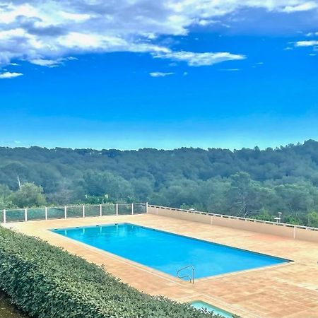 Grand Studio Avec Coin Nuit, Proche Mer Et Montagnes Roquebrune-sur Argens Kültér fotó