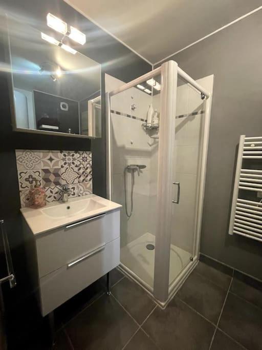 Grand Studio Avec Coin Nuit, Proche Mer Et Montagnes Roquebrune-sur Argens Kültér fotó
